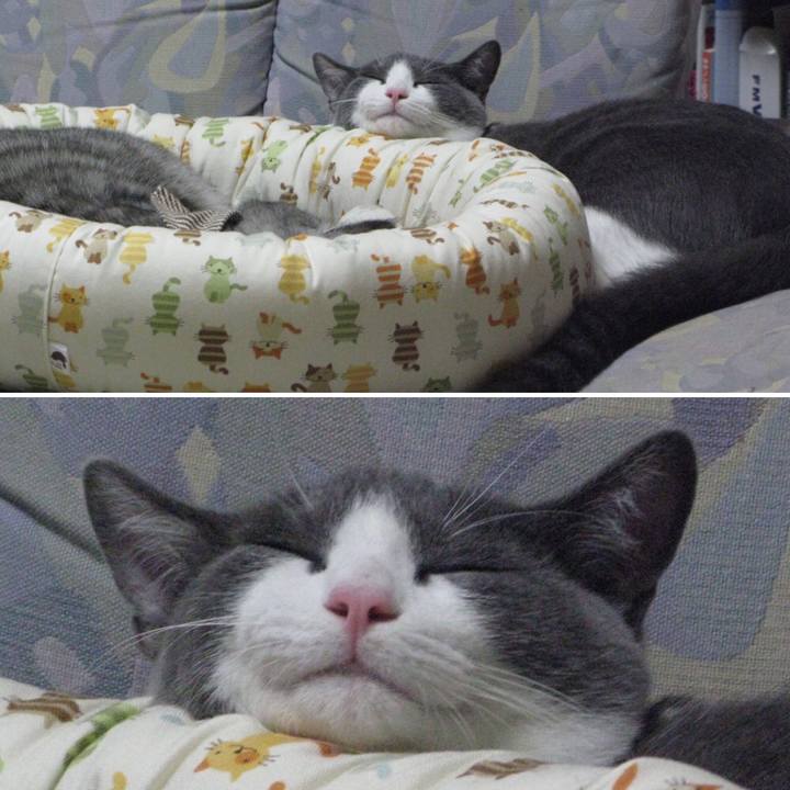 1defeab0 50d8 4cb7 ae33 8037f0fdfe74