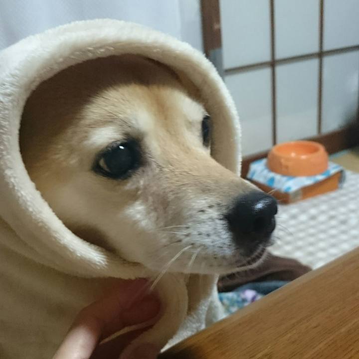 1df15bd1 2736 4da7 aab2 234b55abe4ac