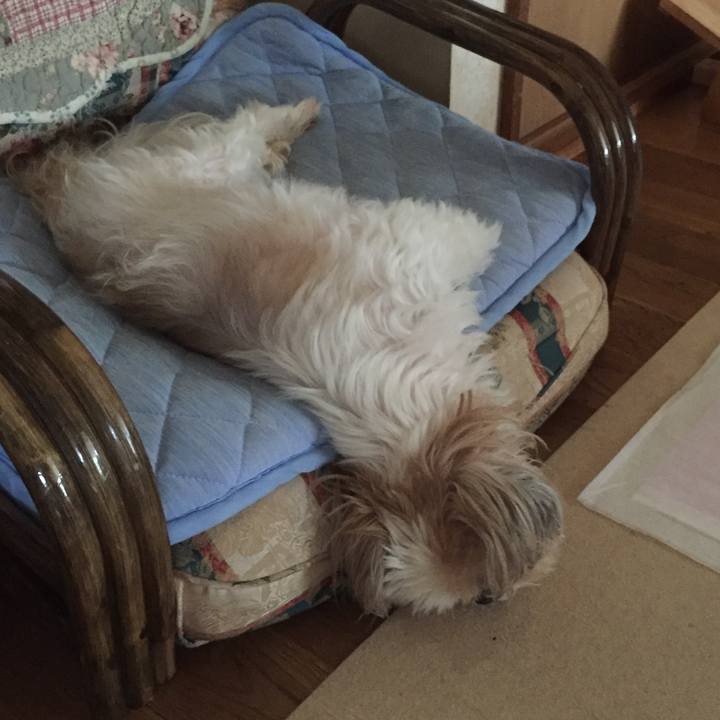 1df17df6 e354 4af2 b445 7286c029afcf