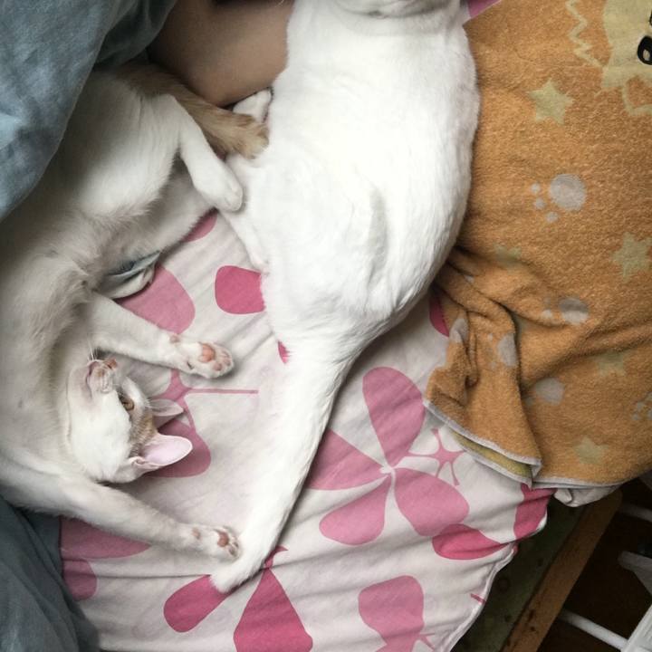 1df1a4b4 bff4 41e1 a315 f86e51c9a010