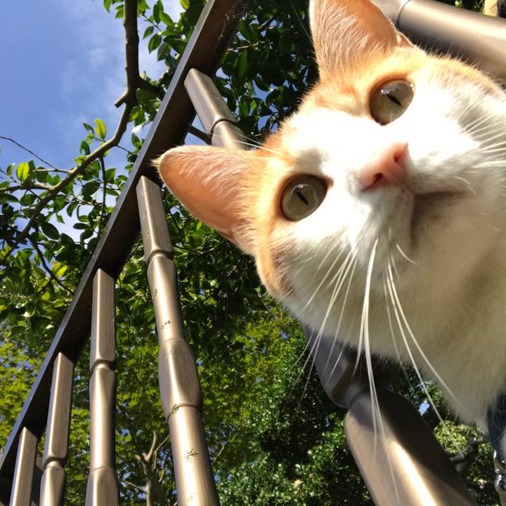 1df1f8eb 0f2c 48d0 b583 d180b485a91f