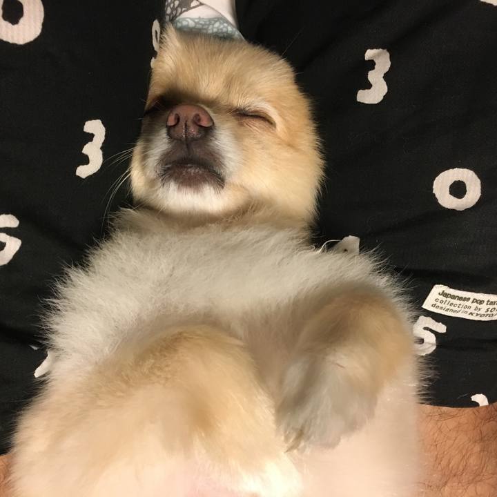 1df234b1 e912 44d4 91c4 64647e85090a