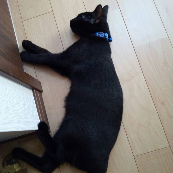 1df2ea0d fcd0 417c 8e40 47e3e3784dd8