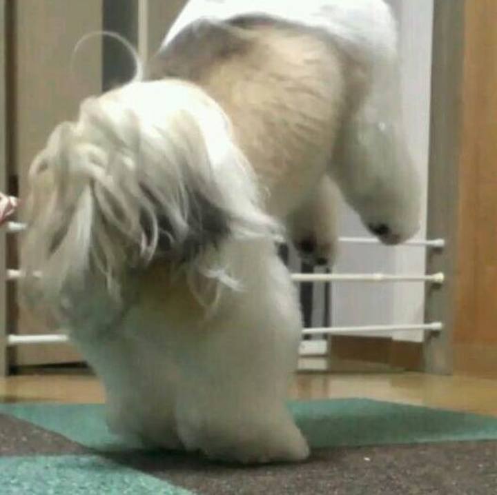 1df35704 1652 4369 a1eb 097dbcb144ed