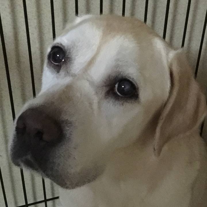 1df41040 e65e 40fa 82c2 236a806ab7b3