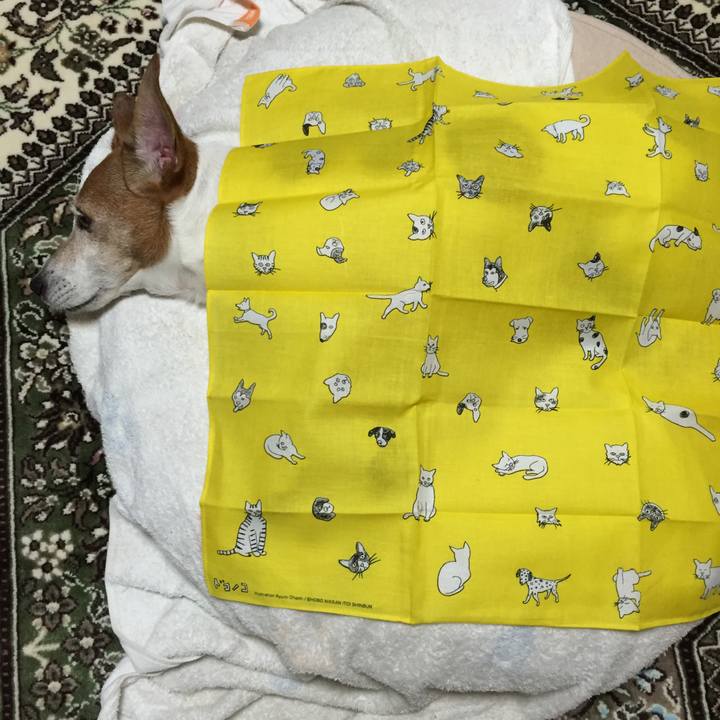 1df4f98c 0178 4aa4 a93c 33686071635d