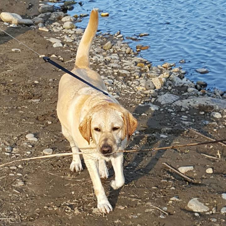 1df53906 10c5 4e54 aaa2 b2cecf7a8146