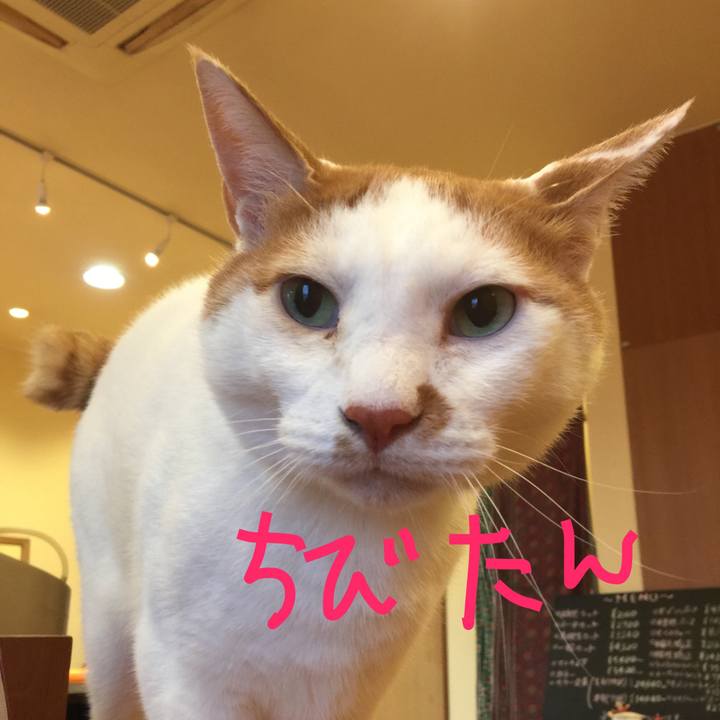 1df55893 b53d 4295 be7a 3480fcdf934b