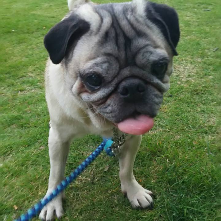 1df569b8 31b9 444f acea 62c8d3dee0b6