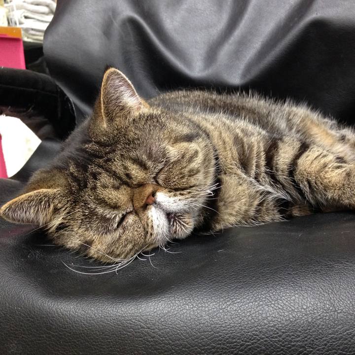 1df59fcf bcef 43b3 afae 929da612baa0