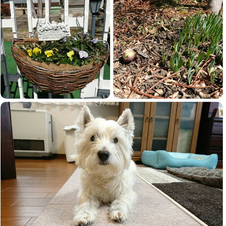 1df5b9b5 6854 4a9c 94cb fcb1409fcba2