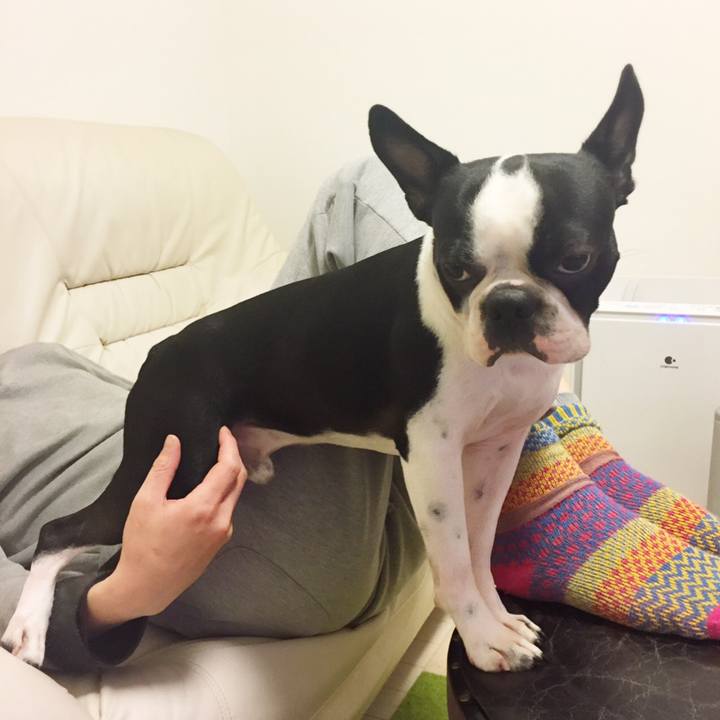 1df70caa f9bf 4255 b0b3 741fd45670e4