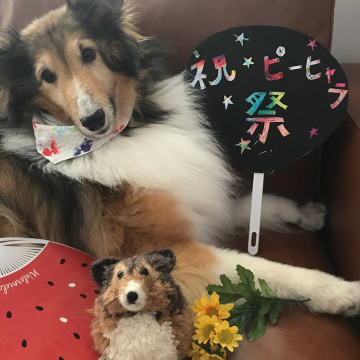 1df74457 866e 4e03 abf6 370674b498e4