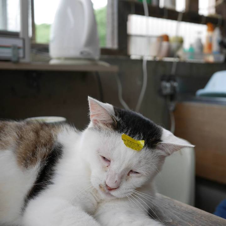 1df77120 37e4 4436 8b02 03e81c2ab478