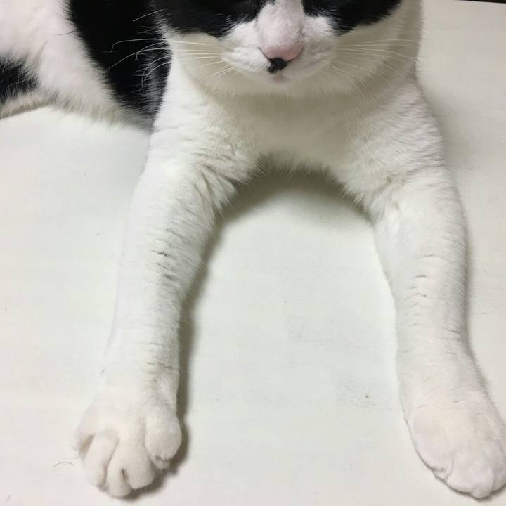 1df7f36f ab15 4f2c 94b7 ccec6f8b3baa