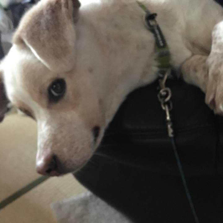 1df80b9d 61f1 484f b5cc b156fc63ed46