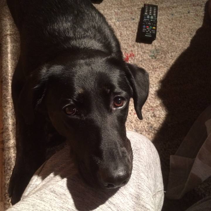 1df85233 9f5e 4c08 be4f 2cfcde4cf873