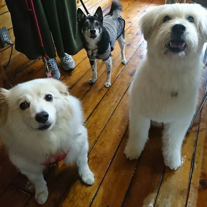 1df8b5e2 cf01 44b1 80ba 903f19dd0bfb