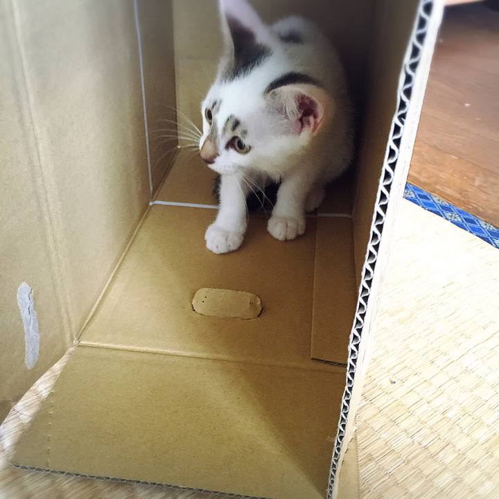 1df98e2e 0da7 40ae 9978 26855b58253f