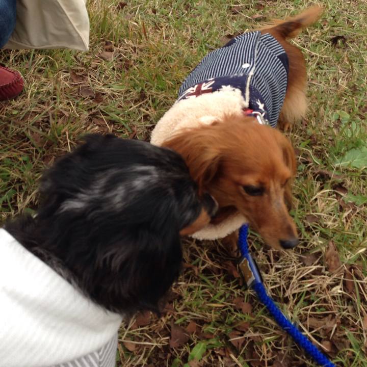 1df9b47c 7ae5 4cac 8c43 3a7fa1608402