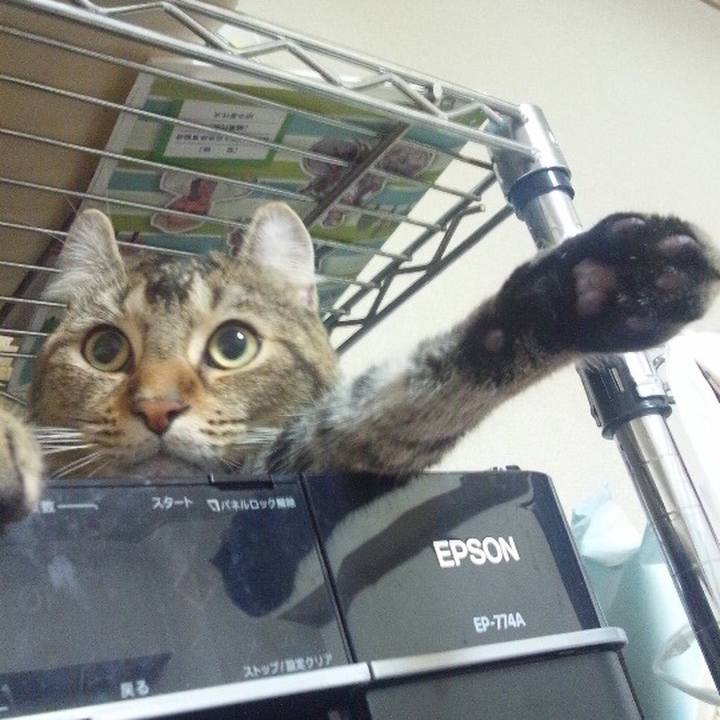 1df9bf3a d76d 48fb b201 2dfc5e6be1f7