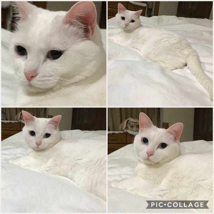 1dfa105d 3d3e 4e30 a0f4 c7500e3045f4