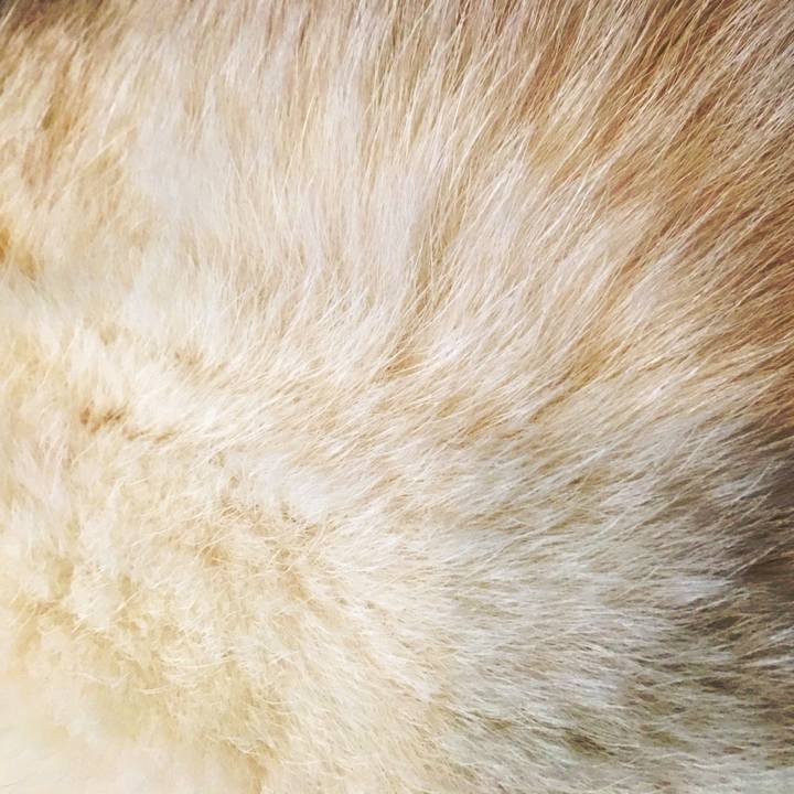 1dfa691f f8cd 442b 8e6a 2d11df019528