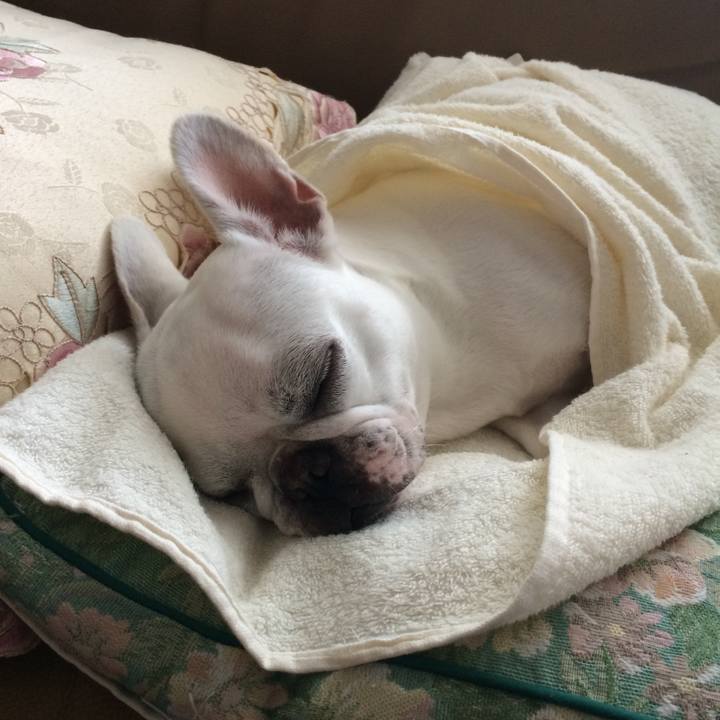 1dfa86c6 4077 4985 b5be cd9c5f02c42b