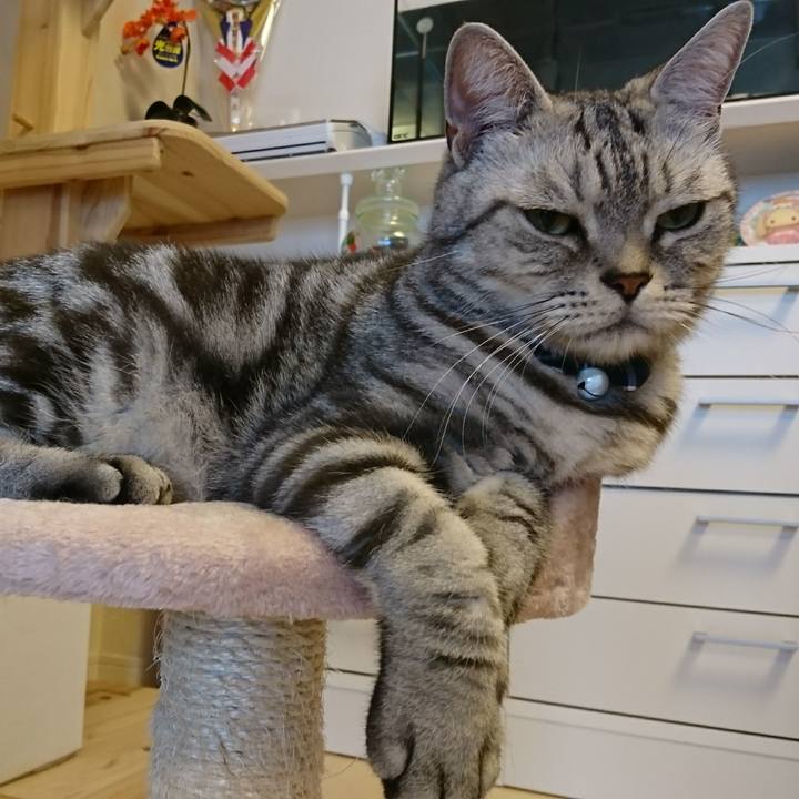 1dfae283 9664 4016 8de2 d53d377d9861