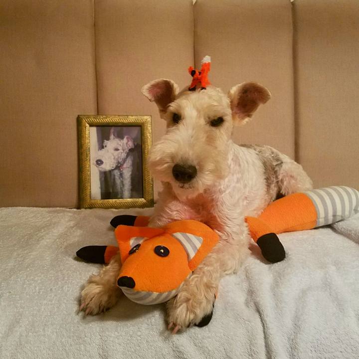 1dfc97ea 4394 45a5 a949 fc00b544d587