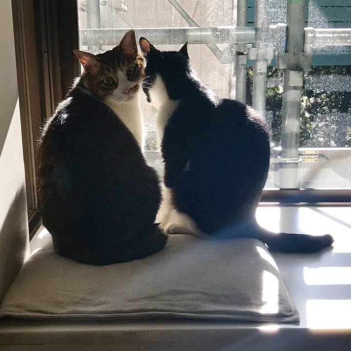 1dfd40a1 69d1 4146 894c faa457cd023c