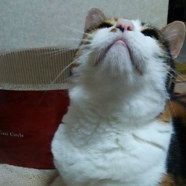 1dfdb6c5 95c3 4008 91ae 211369871008