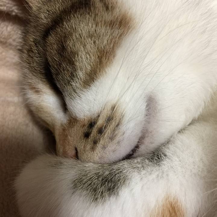 1dfdd273 a69f 489f b7ab 9f78bd6bff88