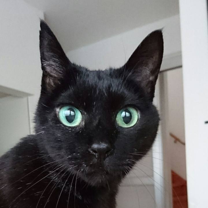 1dfe7857 4666 4a1c b778 93873815cbe7