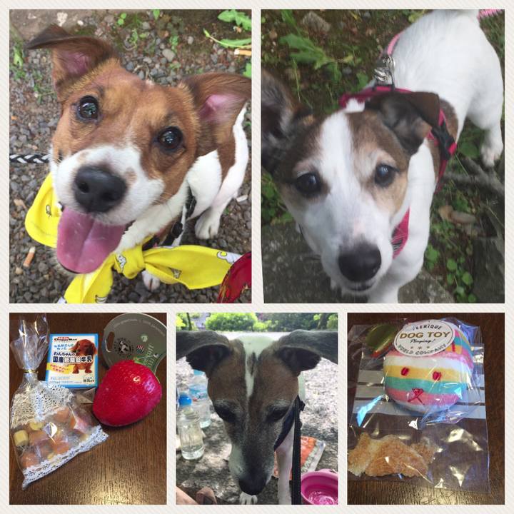 1dff05cb a7fe 4f0d 832e 4af46e44b3ca