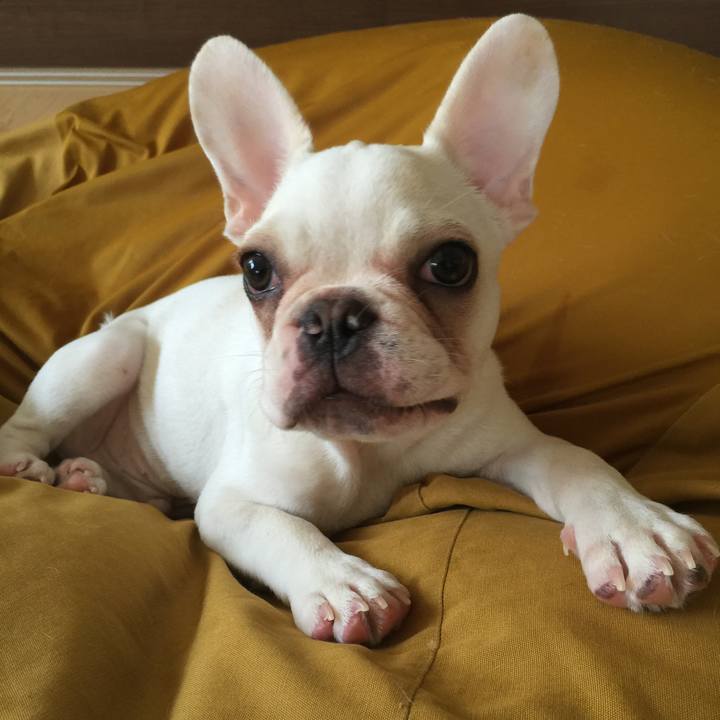 1dff6f1d 5282 4f2f be8a a0e5b73f0e72