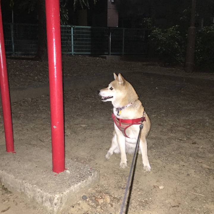 1dffa0e2 c2fe 4cd1 b68a 95b9b47cef92