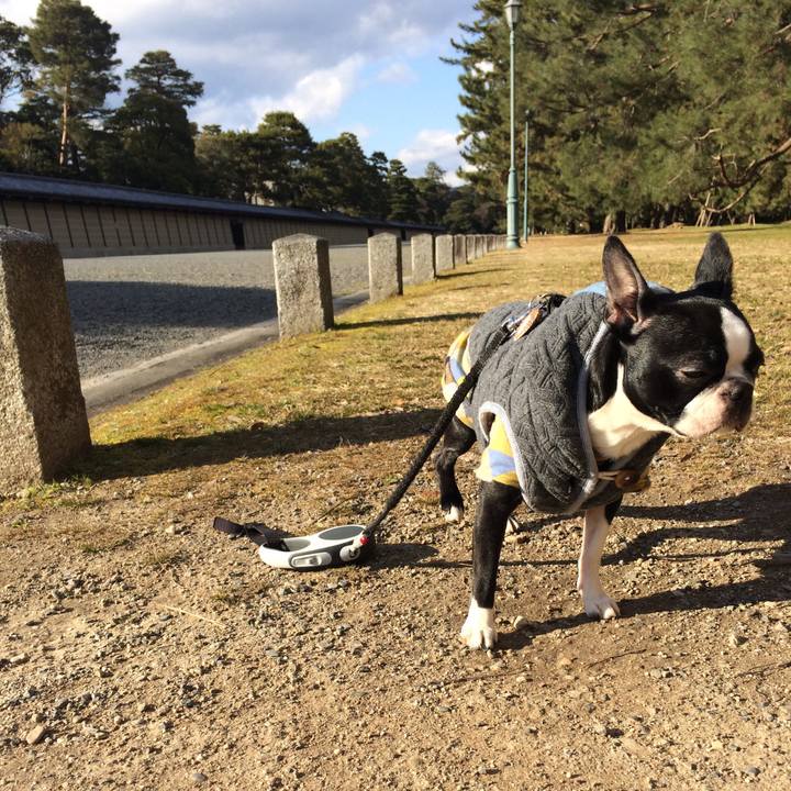 1dffb578 a41a 4467 9d46 982cc187776e