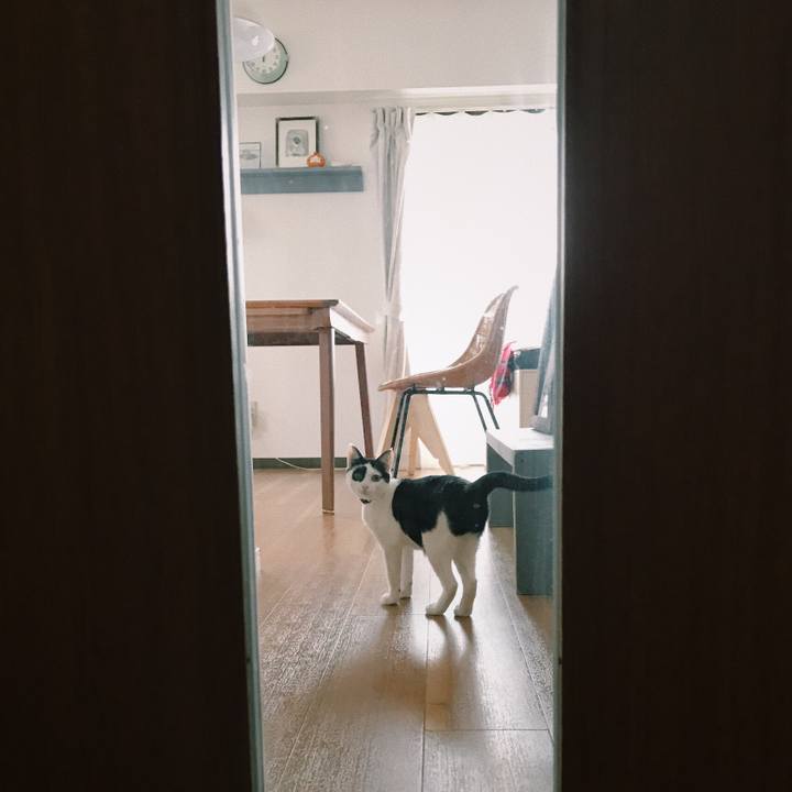 1dfff7b2 a988 4abc 938b e584c7f54719