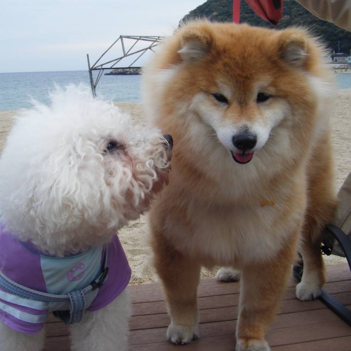 1e005426 9cdd 4778 8af7 65095de15466