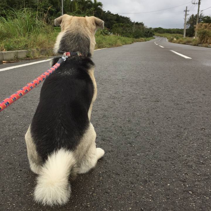 1e00c5b3 21d7 423d 806c 133f074e9de6