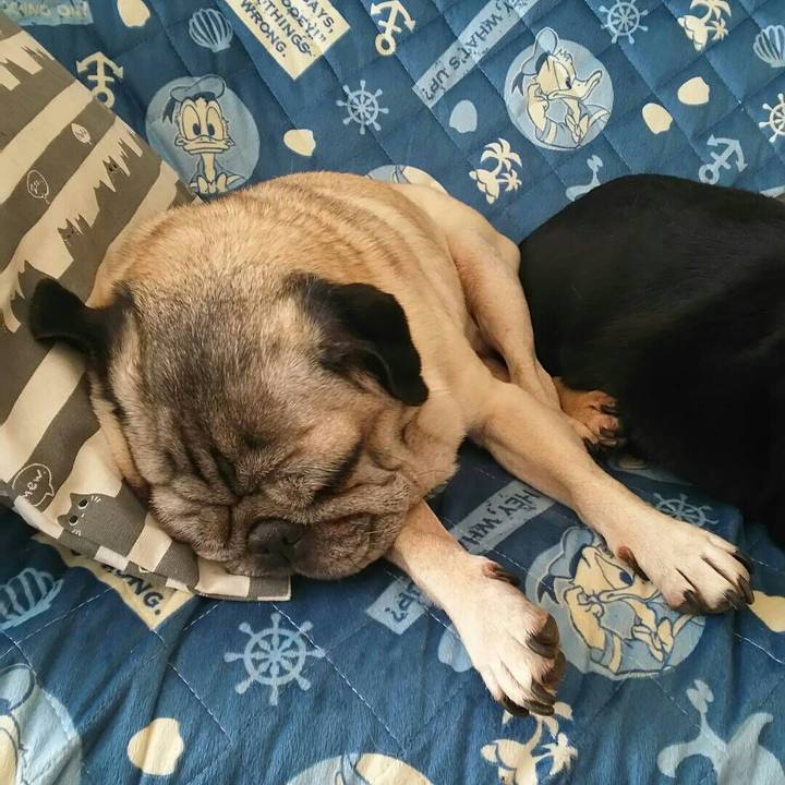 1e0103c9 7023 4857 bb9a 7aff8df38f37