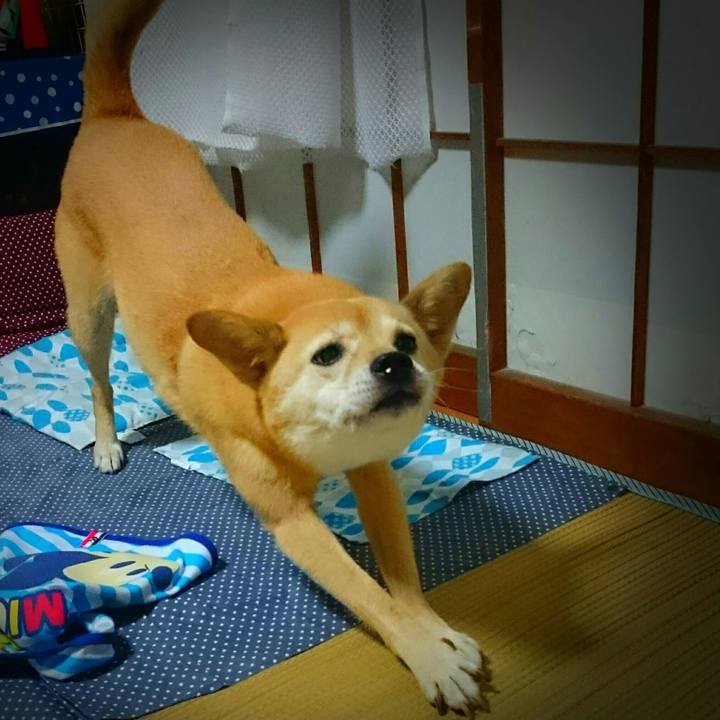 1e0143b6 41a0 4c48 a673 c23887117f60