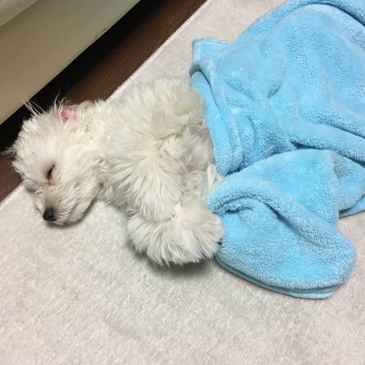 1e016819 c963 4889 b88c a826d8dbc263