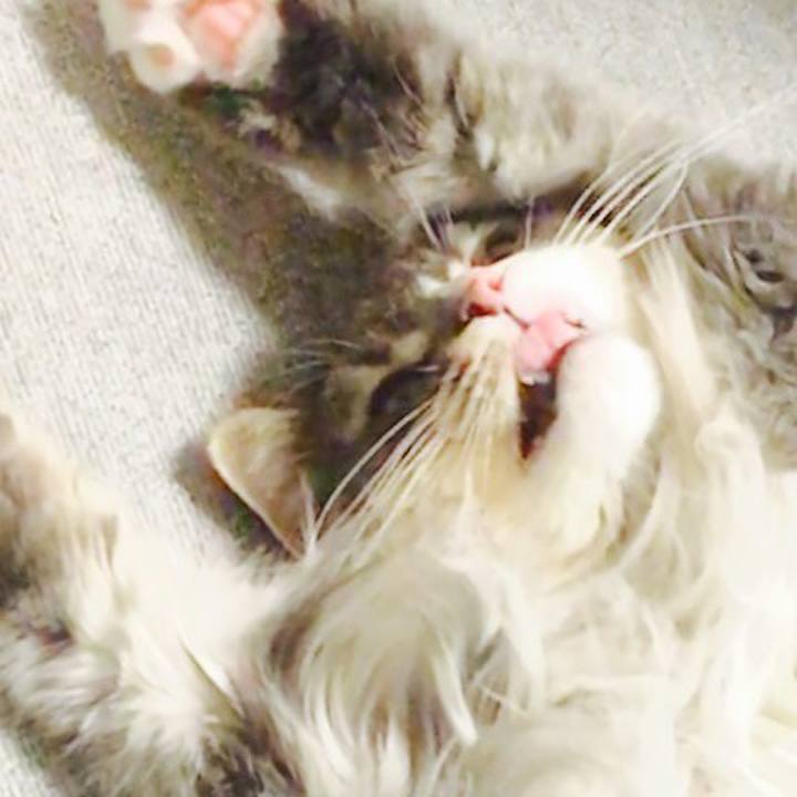 1e01dc92 2831 4a9a 9c63 bb59dea175fb