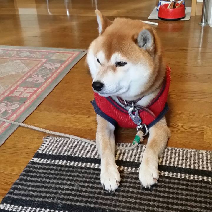 1e02b616 c596 4ead 94c5 d1c2bf3543f1