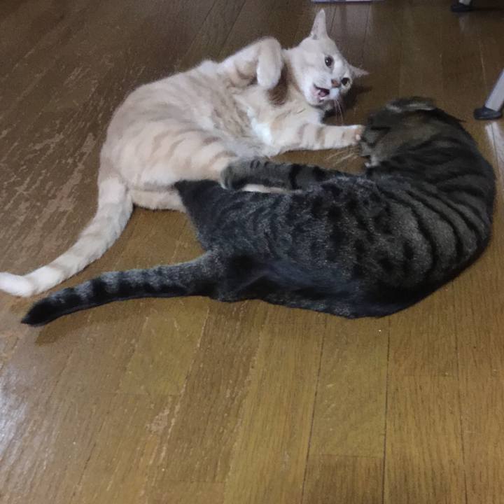 1e02eda6 14d1 47f1 abf9 9e233923adf2