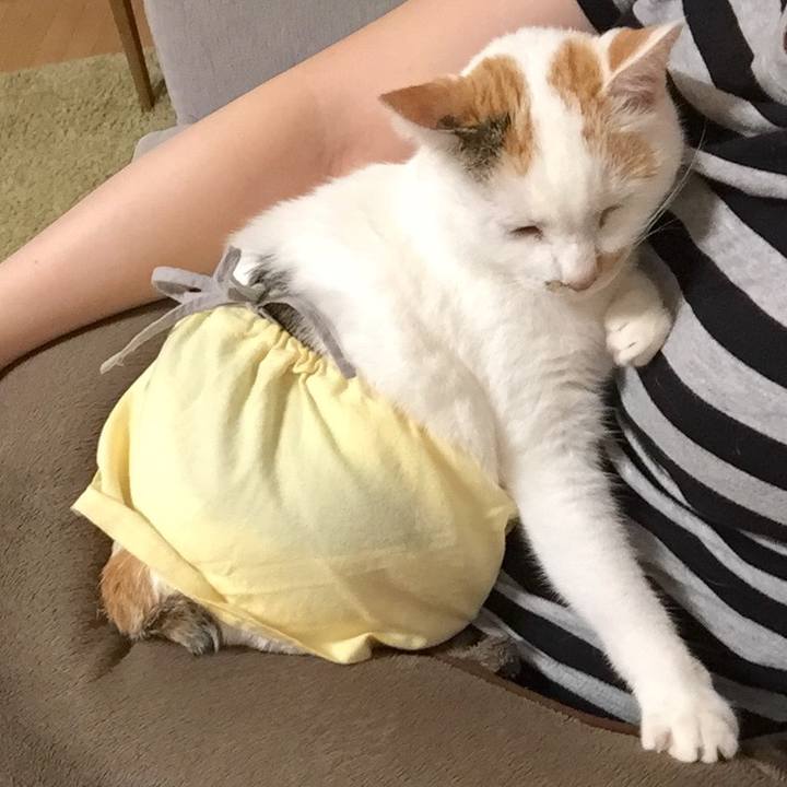 1e033ee8 e7b9 4586 9c6f 0392f5b8a6e9