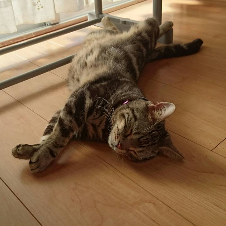 1e03d3ed 03db 4c01 ac03 6b3f4d0af641