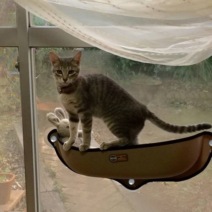 1e046508 1e98 4c38 8047 e24d2e7466ea